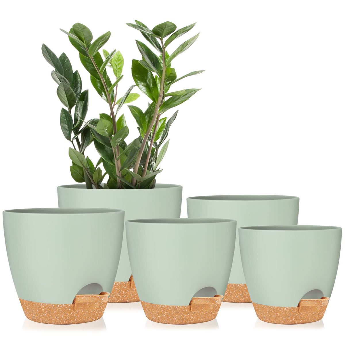 GARDIFE 7-inch self watering planter green front view