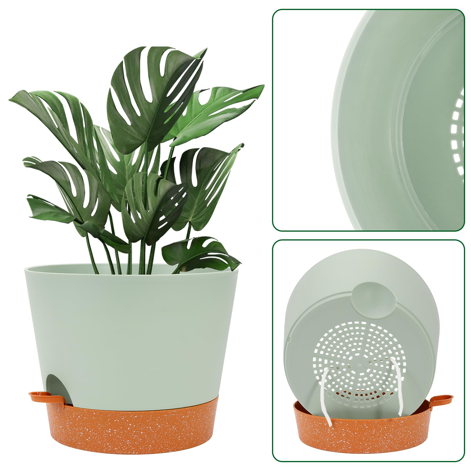GARDIFE self-watering pot with succulent plants inside