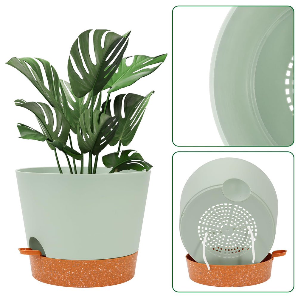 GARDIFE self-watering pot with succulent plants inside