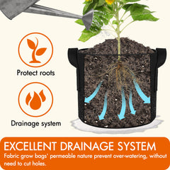 Gardzen 1 Gallon Grow Bag showing double stitched handles