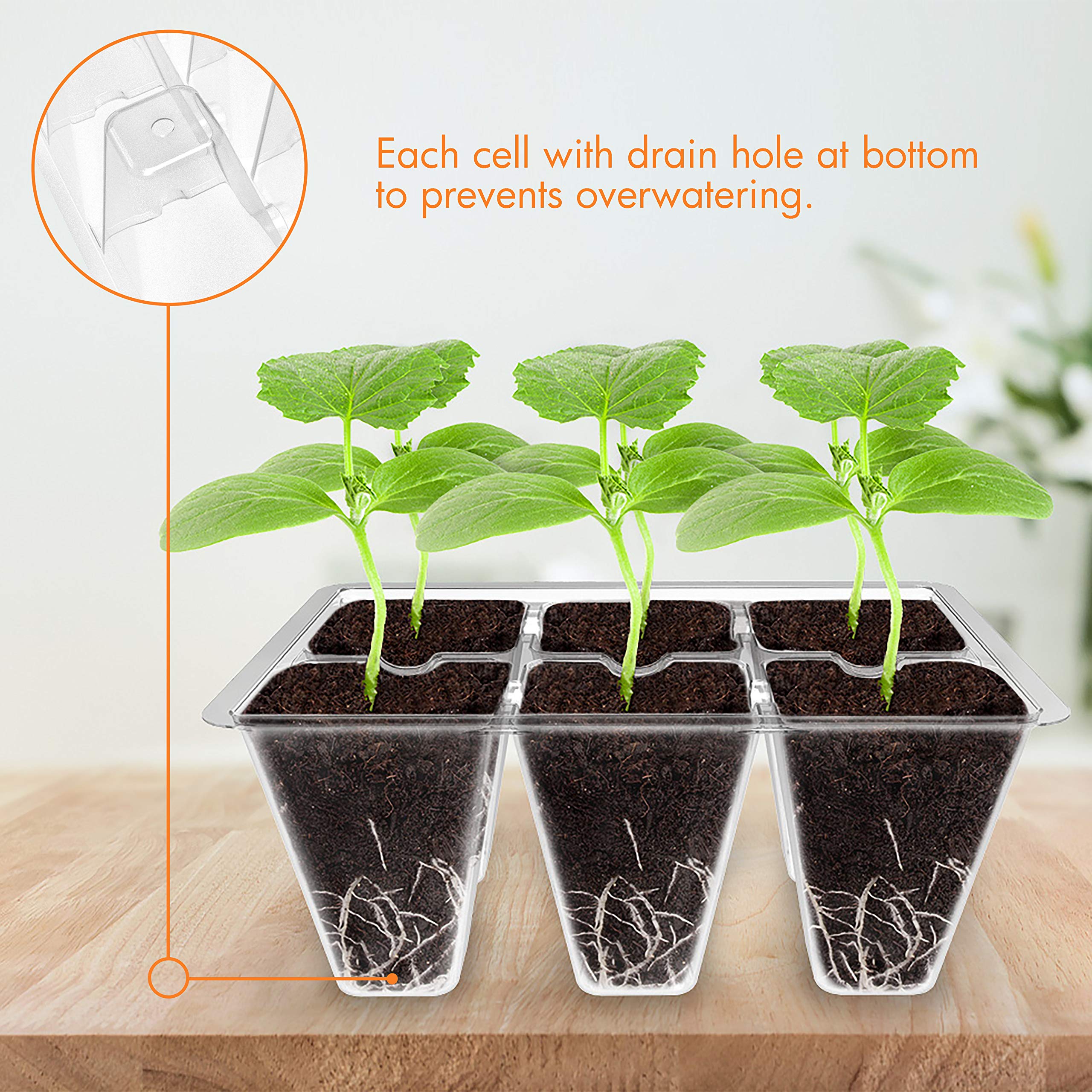 Gardzen Seed Starter Kit showing adjustable humidity dome