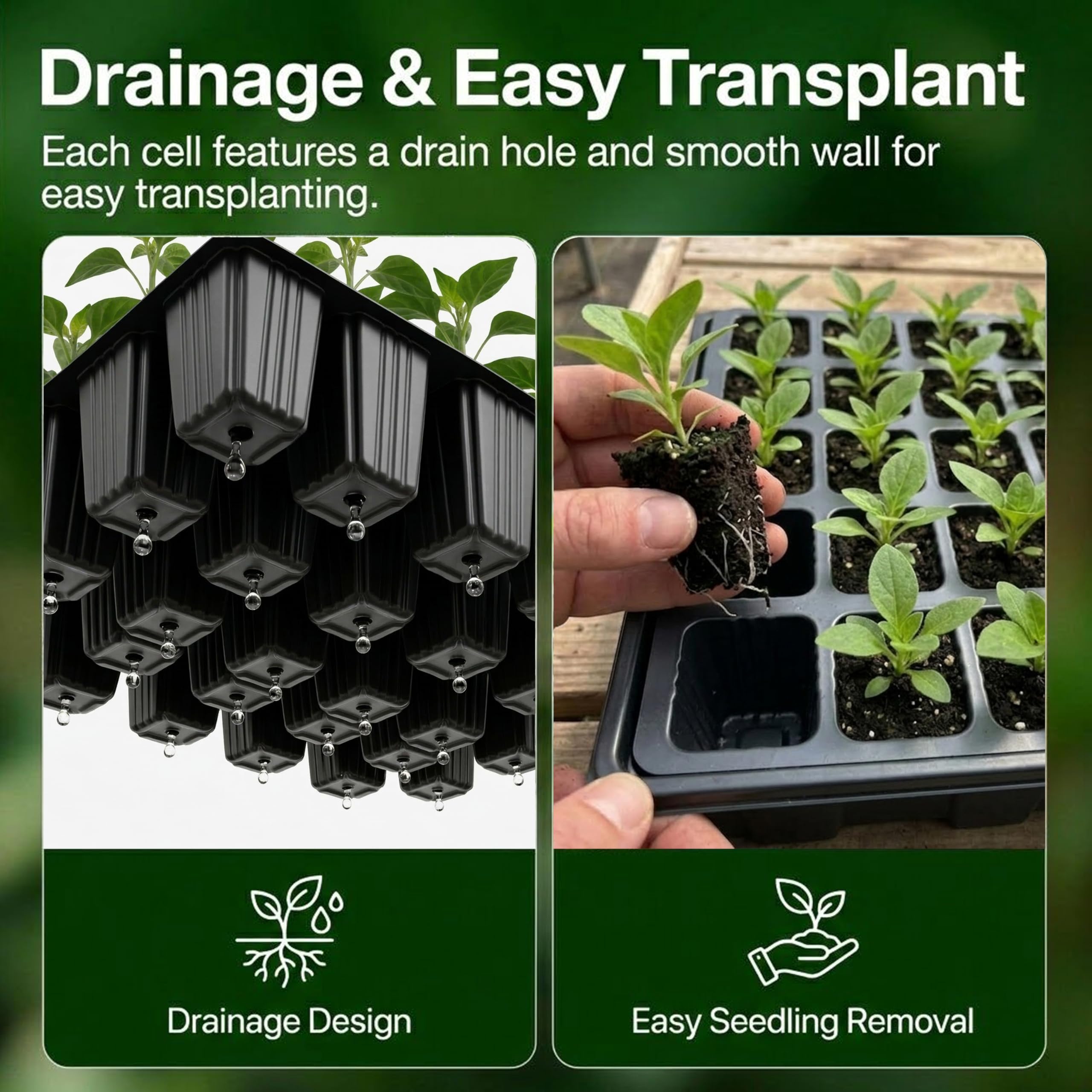 Gardzen seed starter kit with seedlings sprouting inside