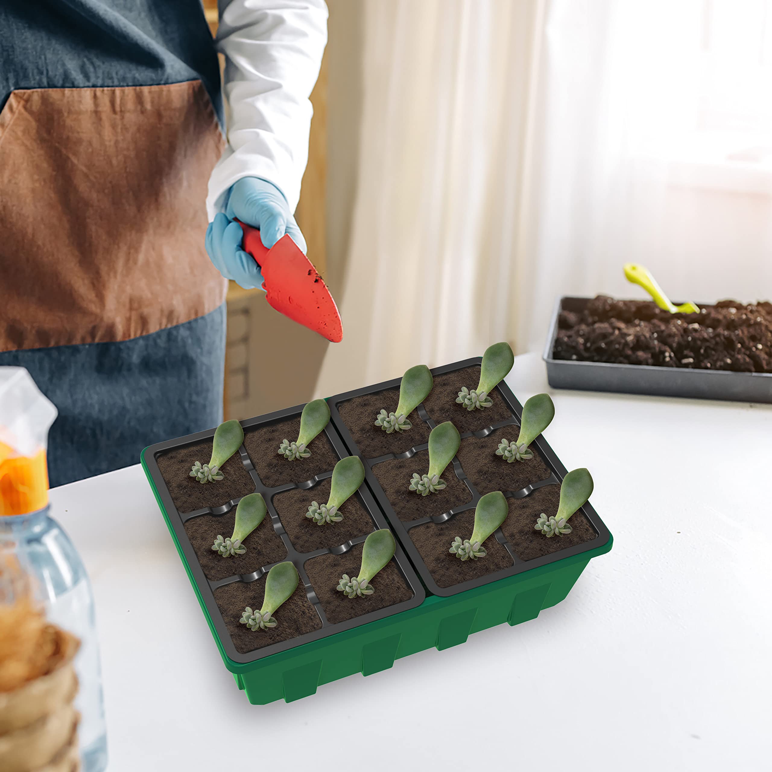 Gardzen seed starter trays showing clear dome for visibility