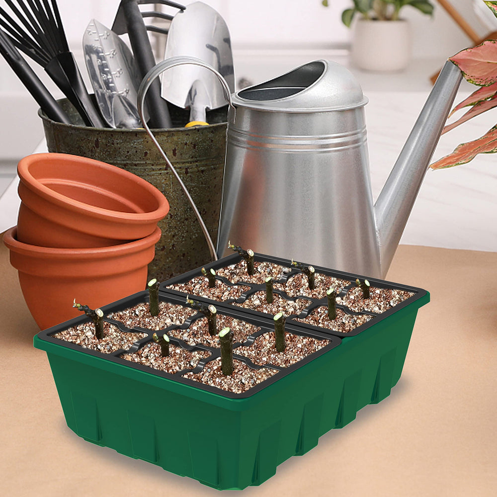 Gardzen seed starter trays with seedlings growing inside