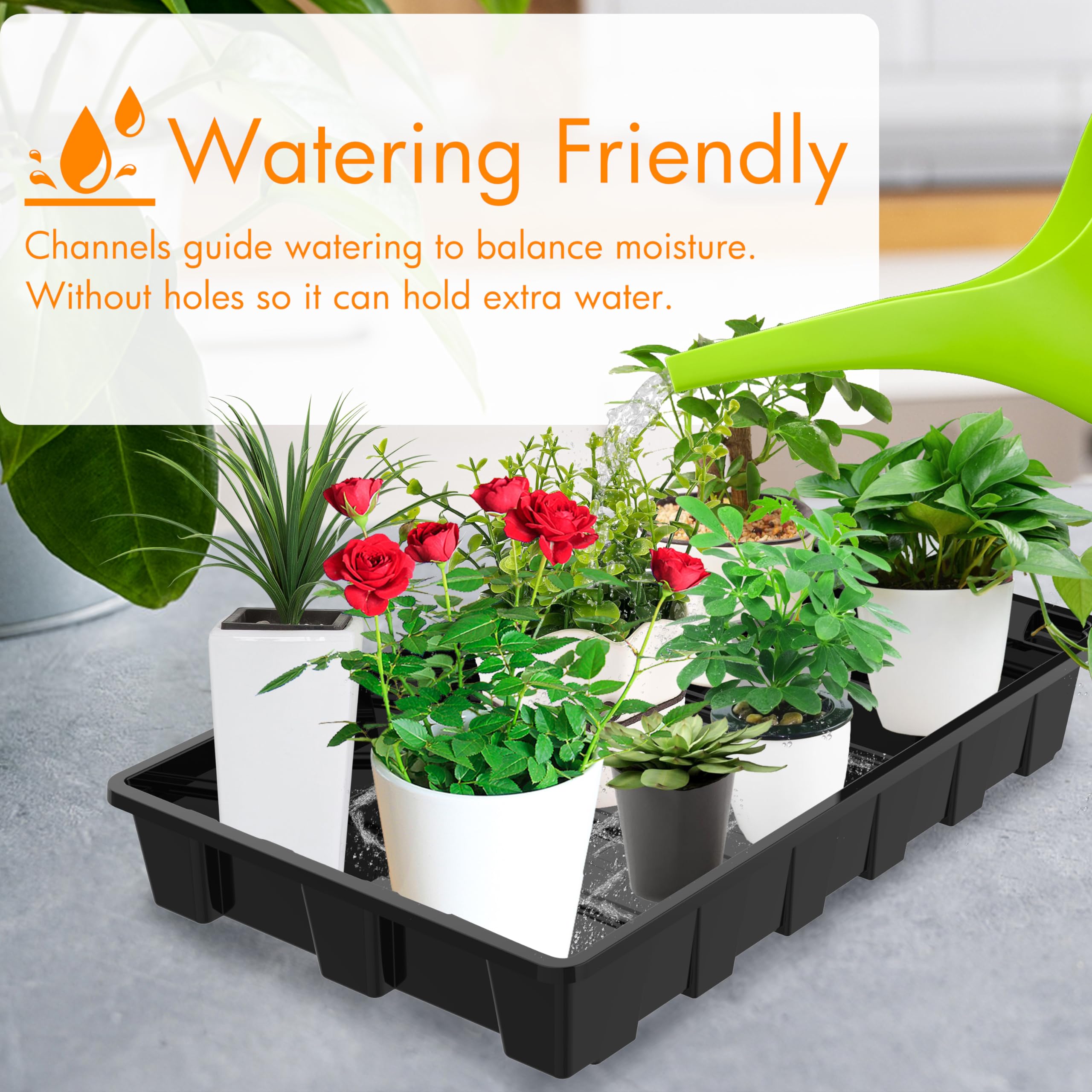 Gardzen seed tray filled with soil and seeds