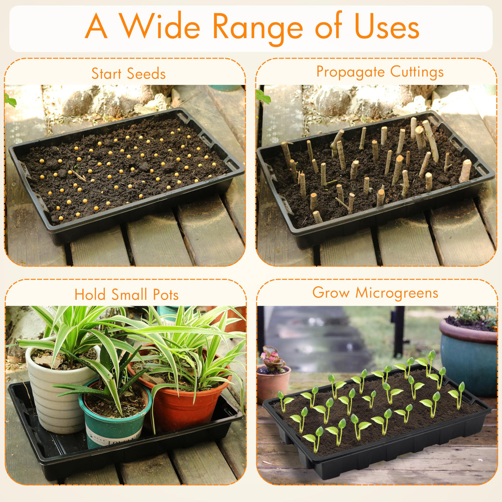 Gardzen seed trays in a greenhouse setting