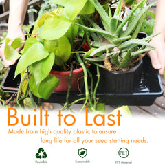 Gardzen seed trays in use with seedlings