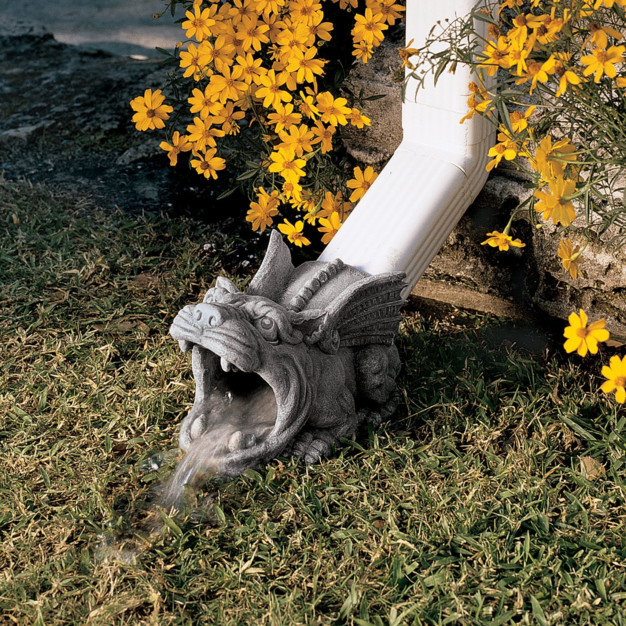 Gargoyle with water flowing from downspout