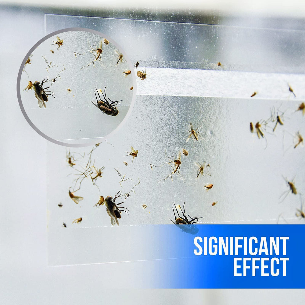 Garsum fly traps displayed on a clean surface
