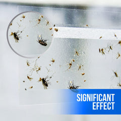Garsum fly traps displayed on a clean surface