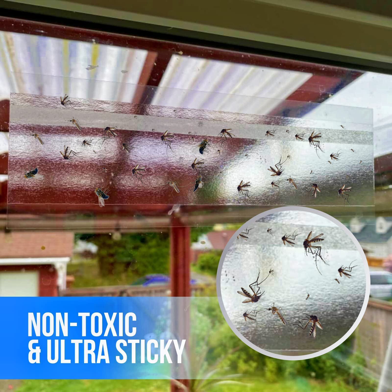 Garsum fly traps sticky strip on a window
