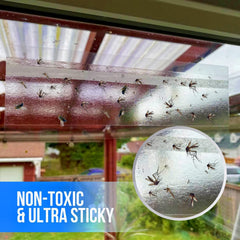 Garsum fly traps sticky strip on a window