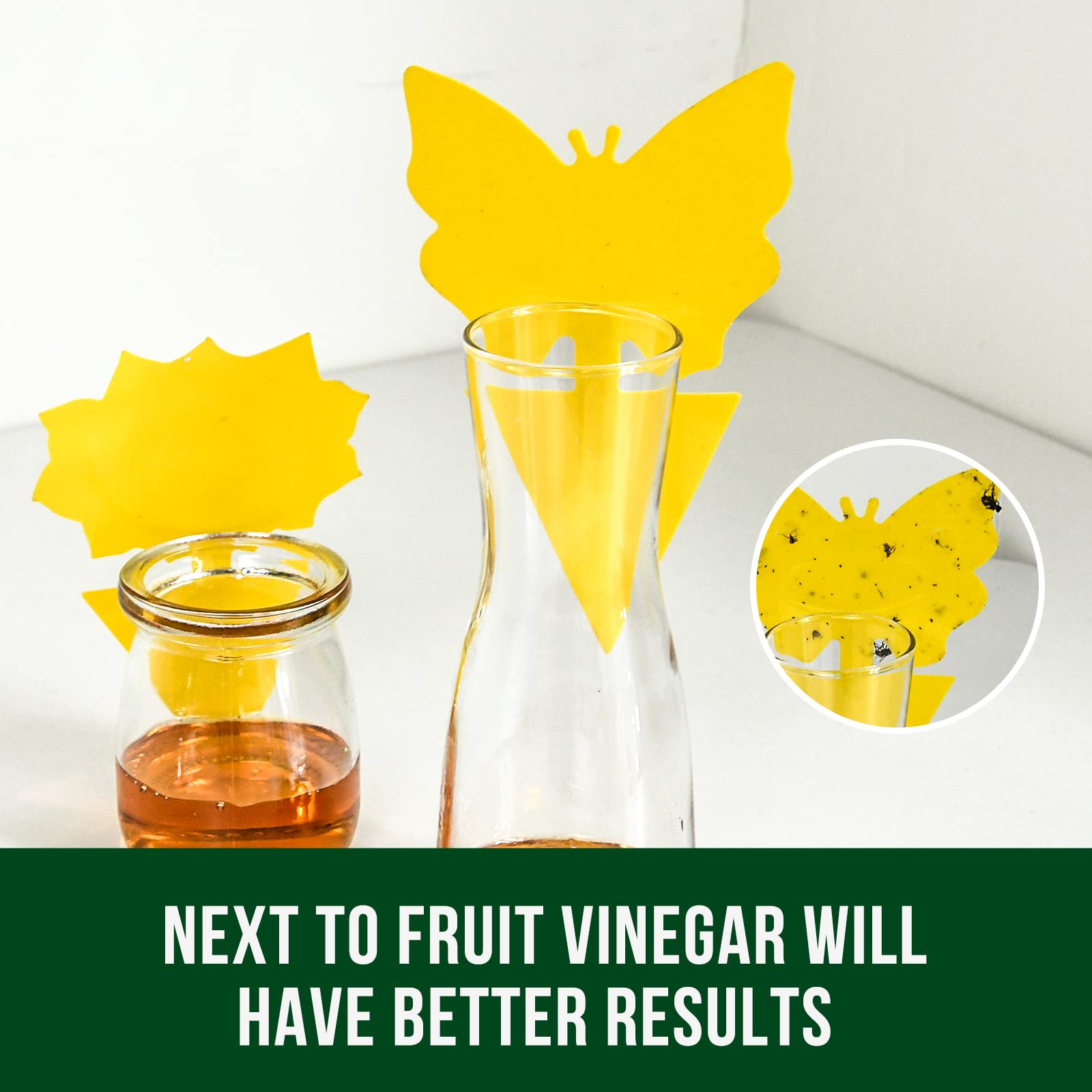 Garsum Fruit Fly Trap pack showcasing 36 traps