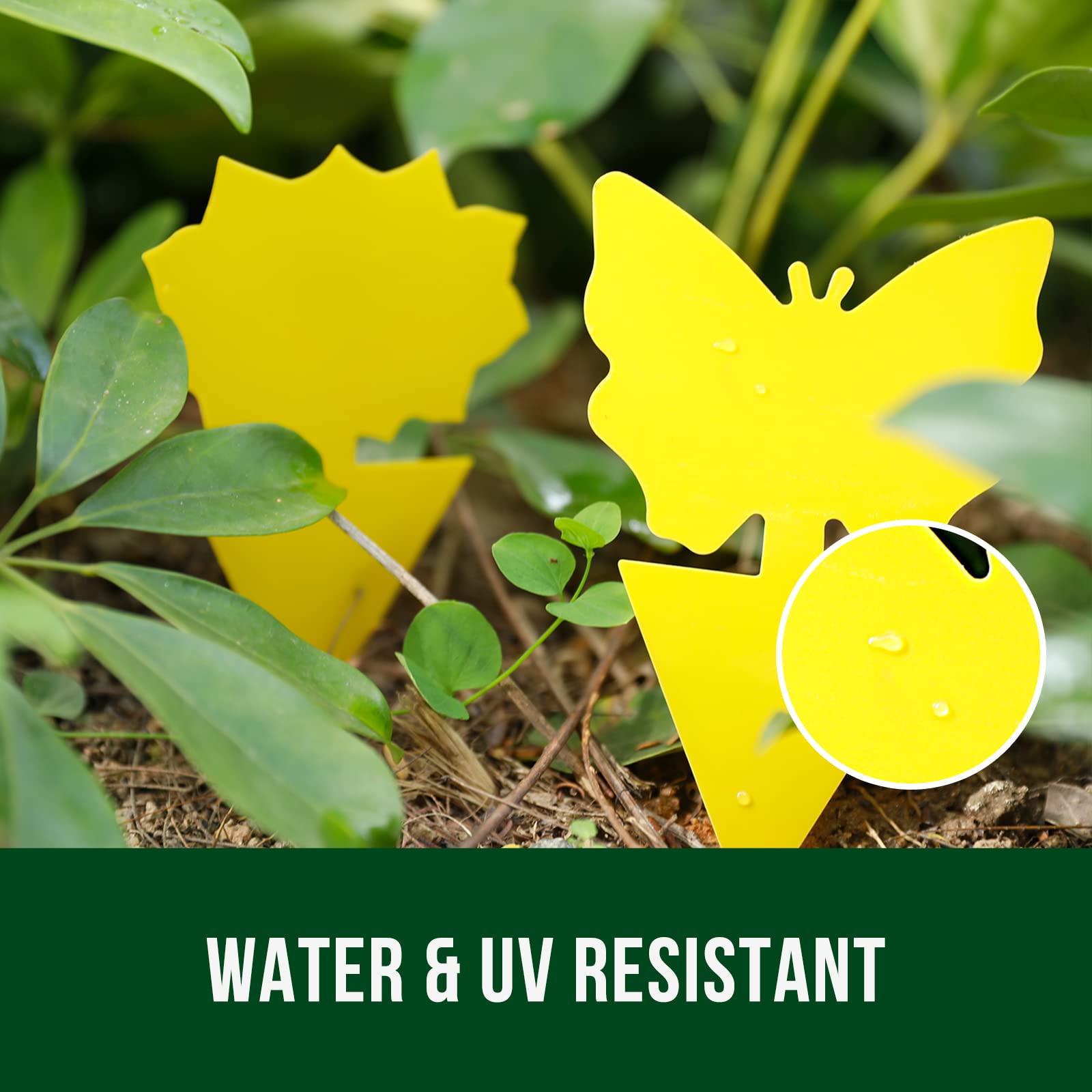 Garsum insect traps displayed in garden setting