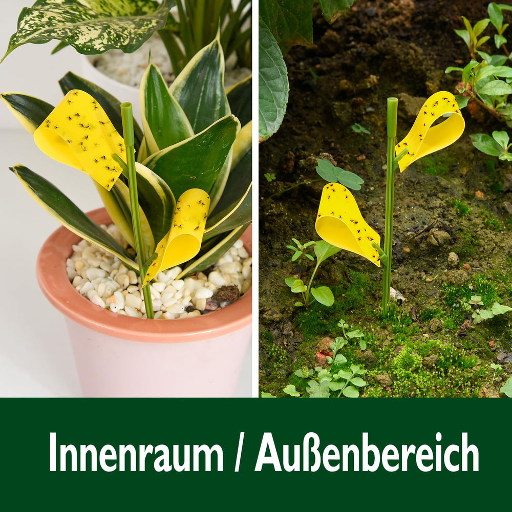 Garsum sticky houseplant trap in a potted plant