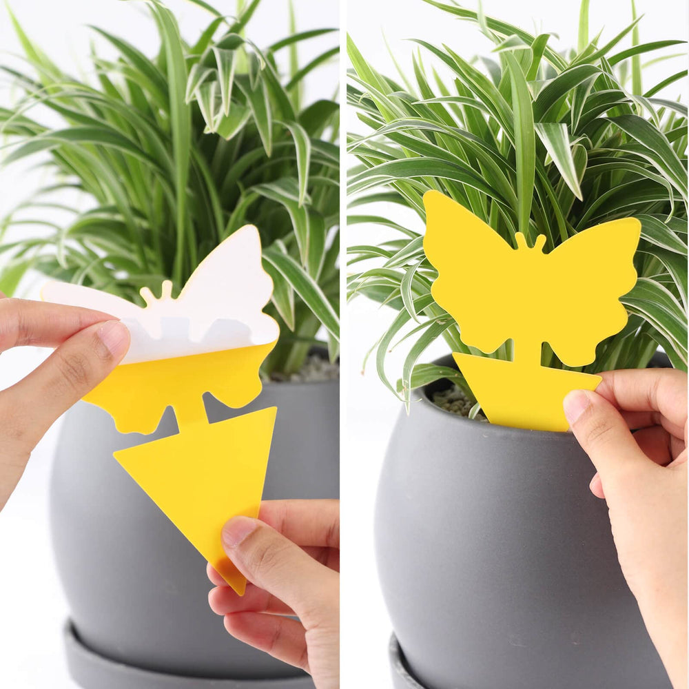 Garsum sticky trap package showing product details