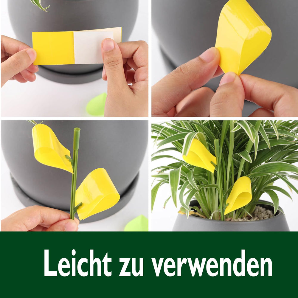 Garsum traps integrated into indoor plants