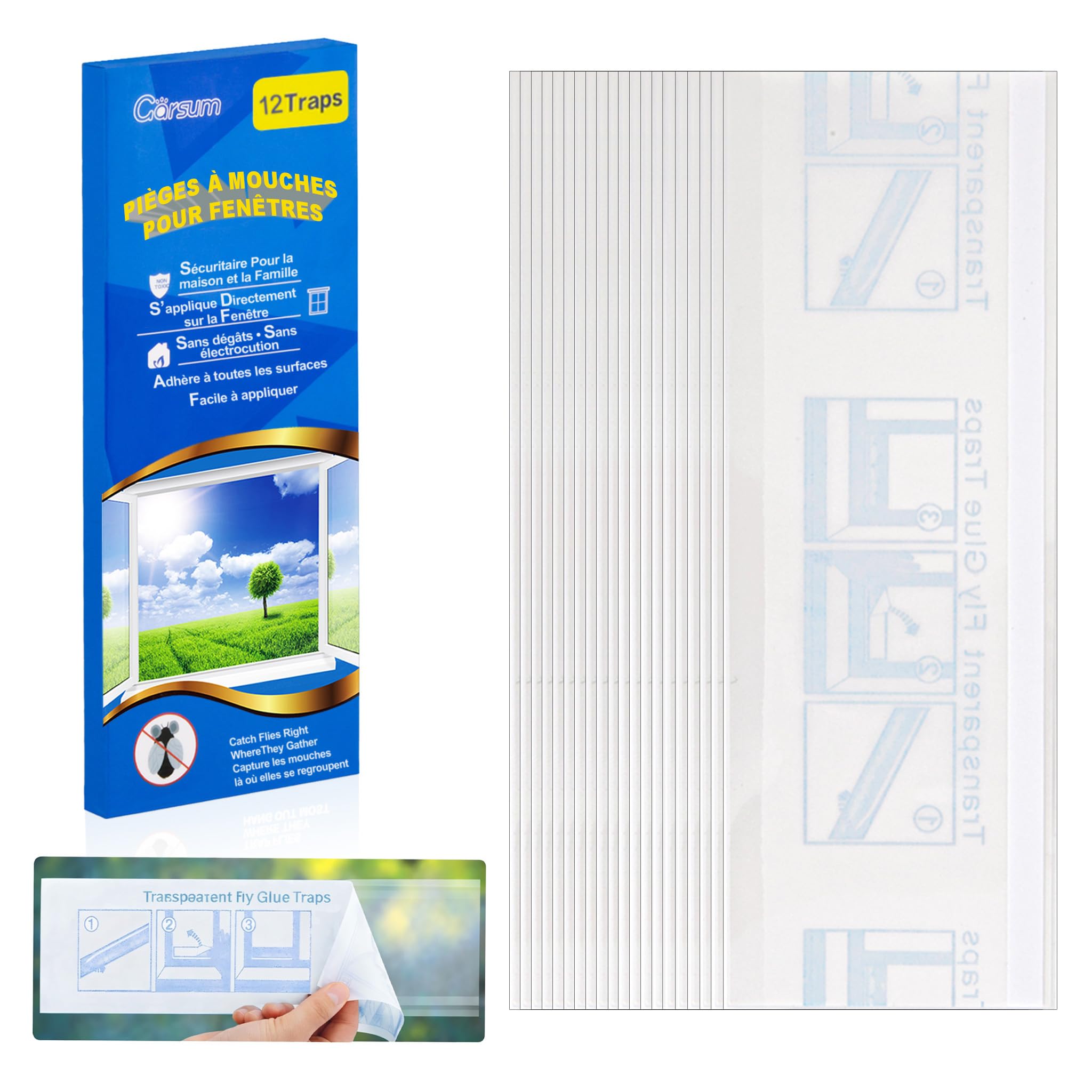 Garsum Window Fly Traps 12-pack packaging front view