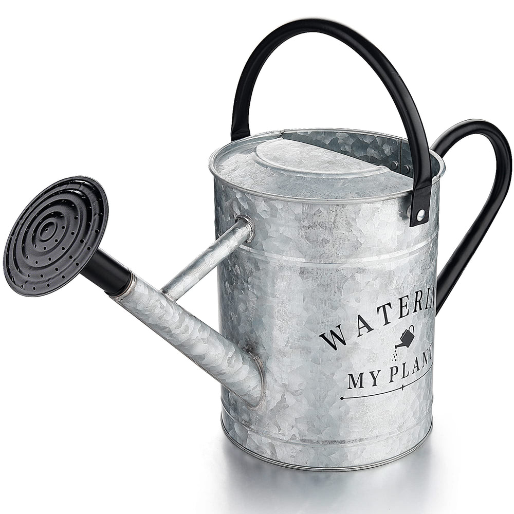 Garutom galvanized watering can front view, silver