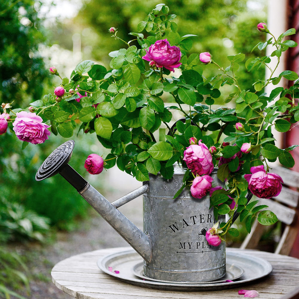 Garutom watering can with plants in background