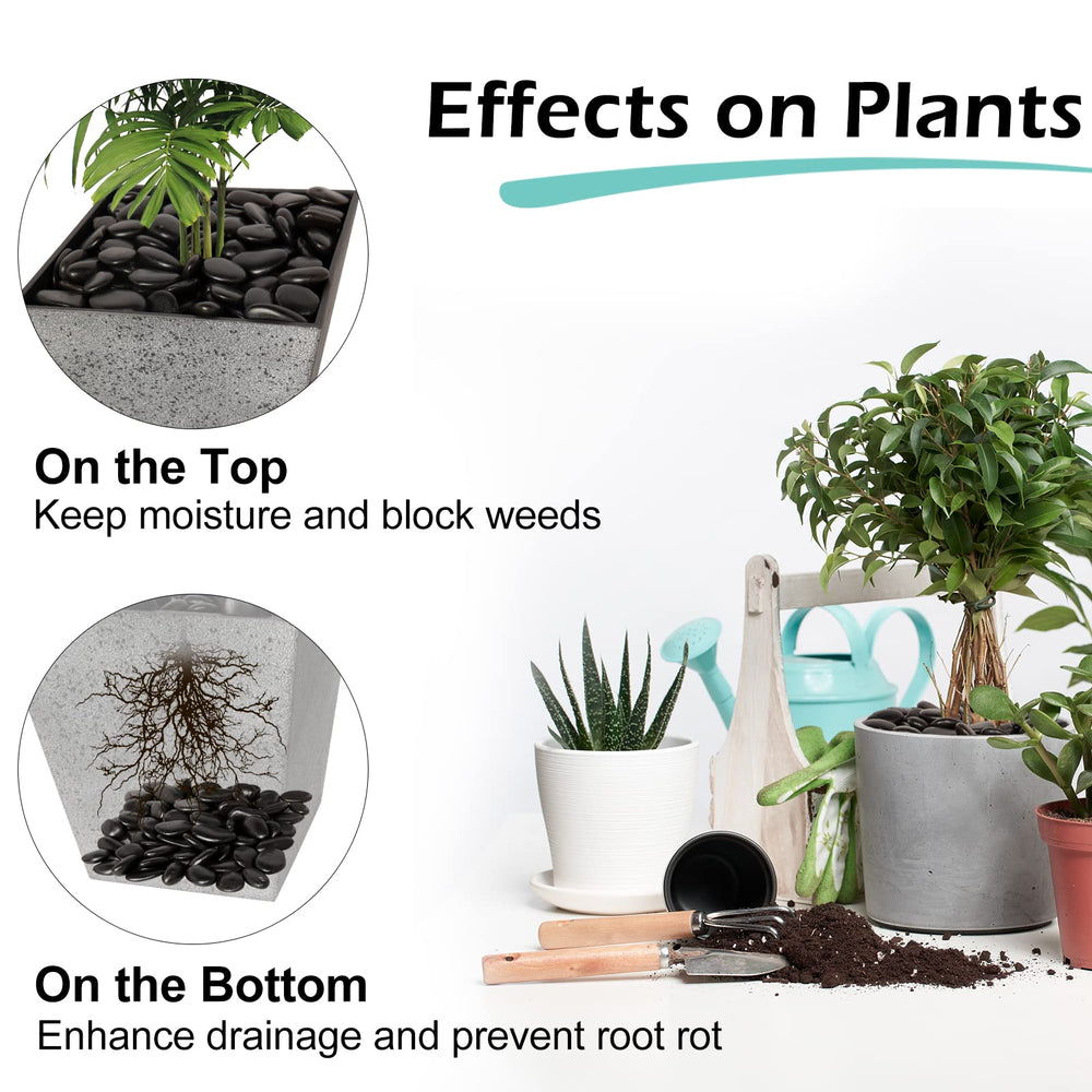 GASPRO Black Landscaping Pebbles in a decorative planter