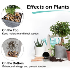 GASPRO pebbles displayed in a decorative planter