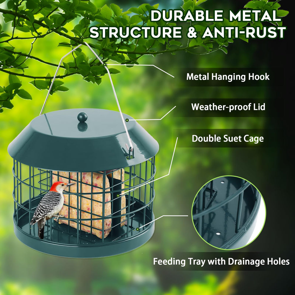 Gbekery bird feeder filled with suet cakes and fruit