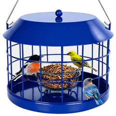 Gbekery Bluebird Feeder front view with clear glass bowl