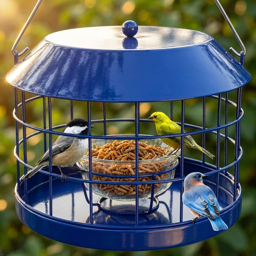 Gbekery Bluebird Feeder showing drainage holes at the bottom