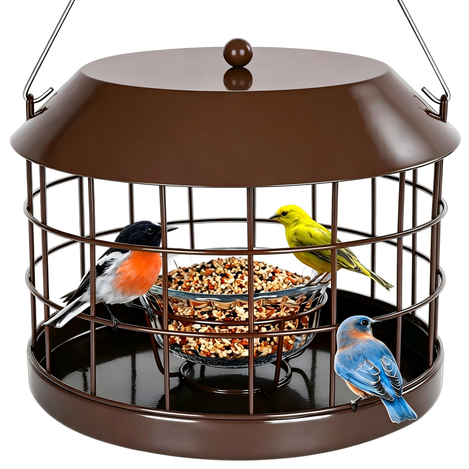 Gbekery Bluebird Feeder with clear glass bowl and metal cage