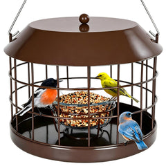 Gbekery Bluebird Feeder with clear glass bowl and metal cage