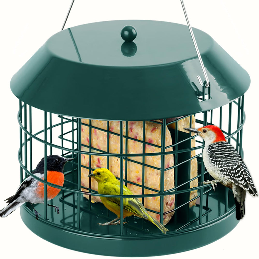 Gbekery Squirrel Proof Suet Bird Feeder, green metal, front view