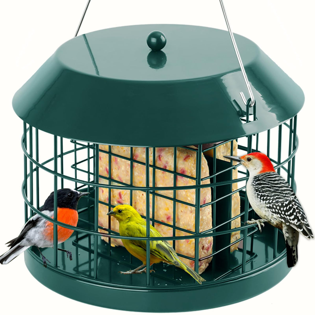 Gbekery Squirrel Proof Suet Bird Feeder, green metal, front view