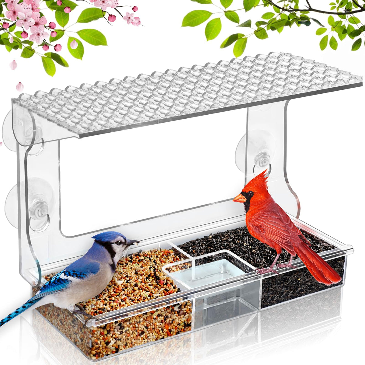 Gbekery Window Bird Feeder front view with suction cups
