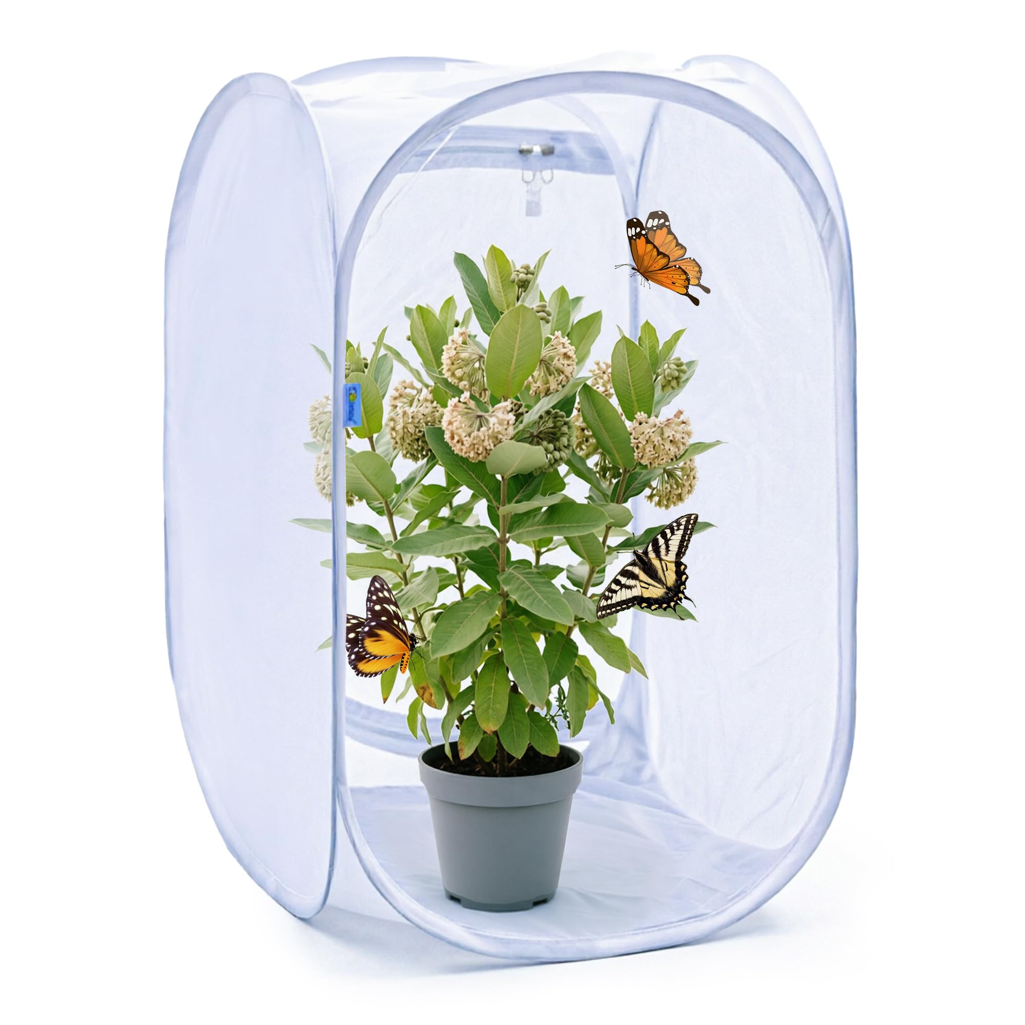 GDanes Pop-up Butterfly Habitat Enclosure front view with clear mesh