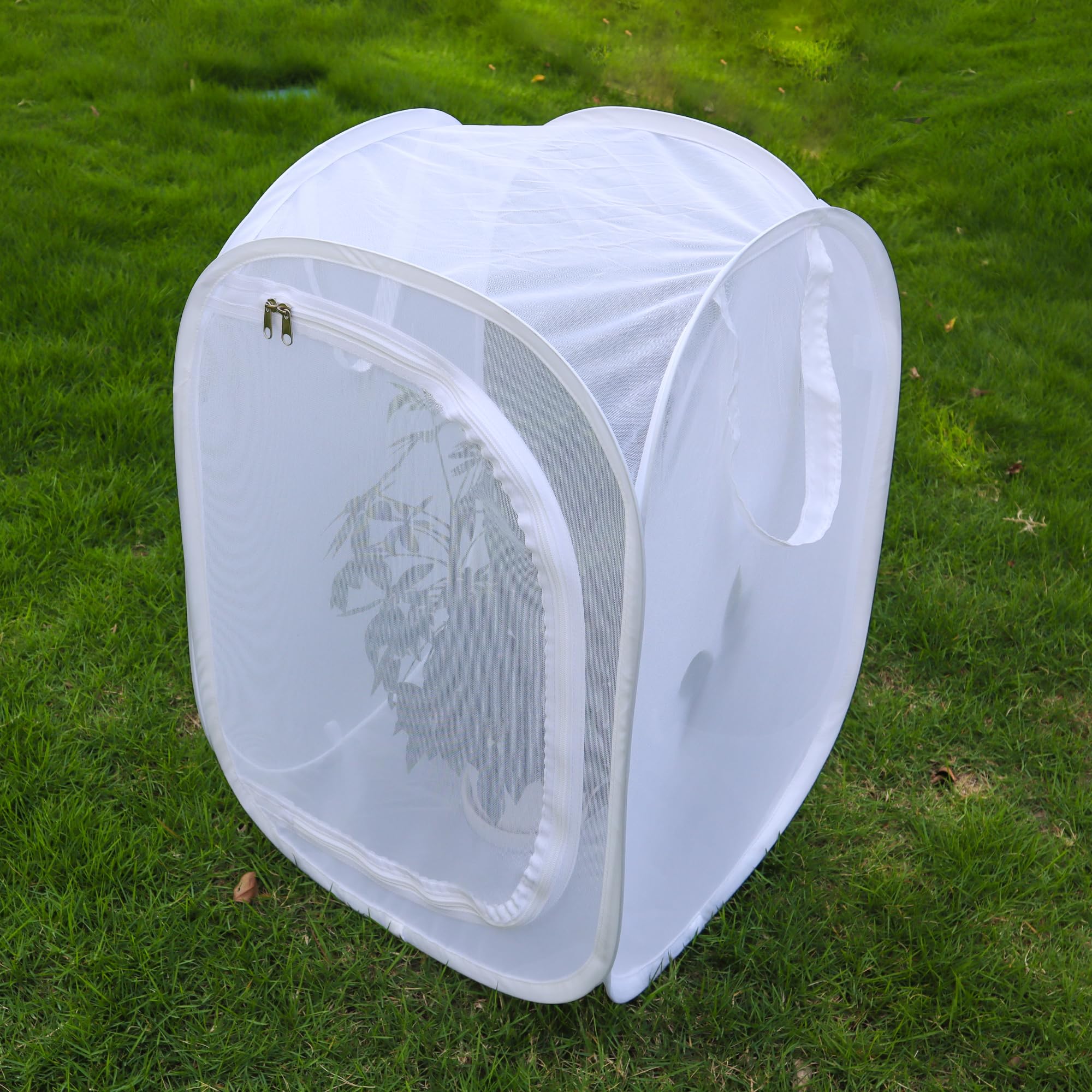 GDanes Pop-up Butterfly Habitat Enclosure side view showing size