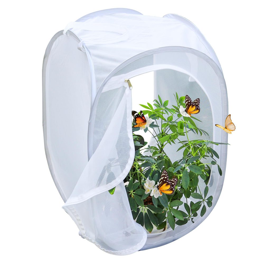 GDanes Pop-up Butterfly Habitat Enclosure with a butterfly emerging