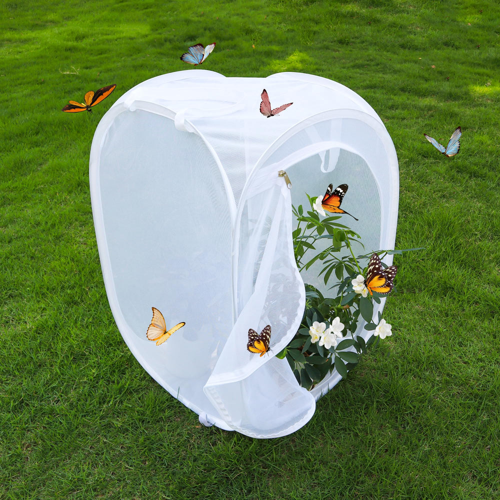 GDanes Pop-up Butterfly Habitat Enclosure with butterflies inside