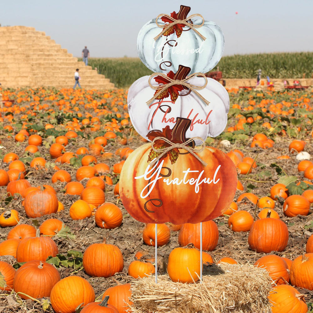 Geetery Thanksgiving yard decorations displayed in a garden