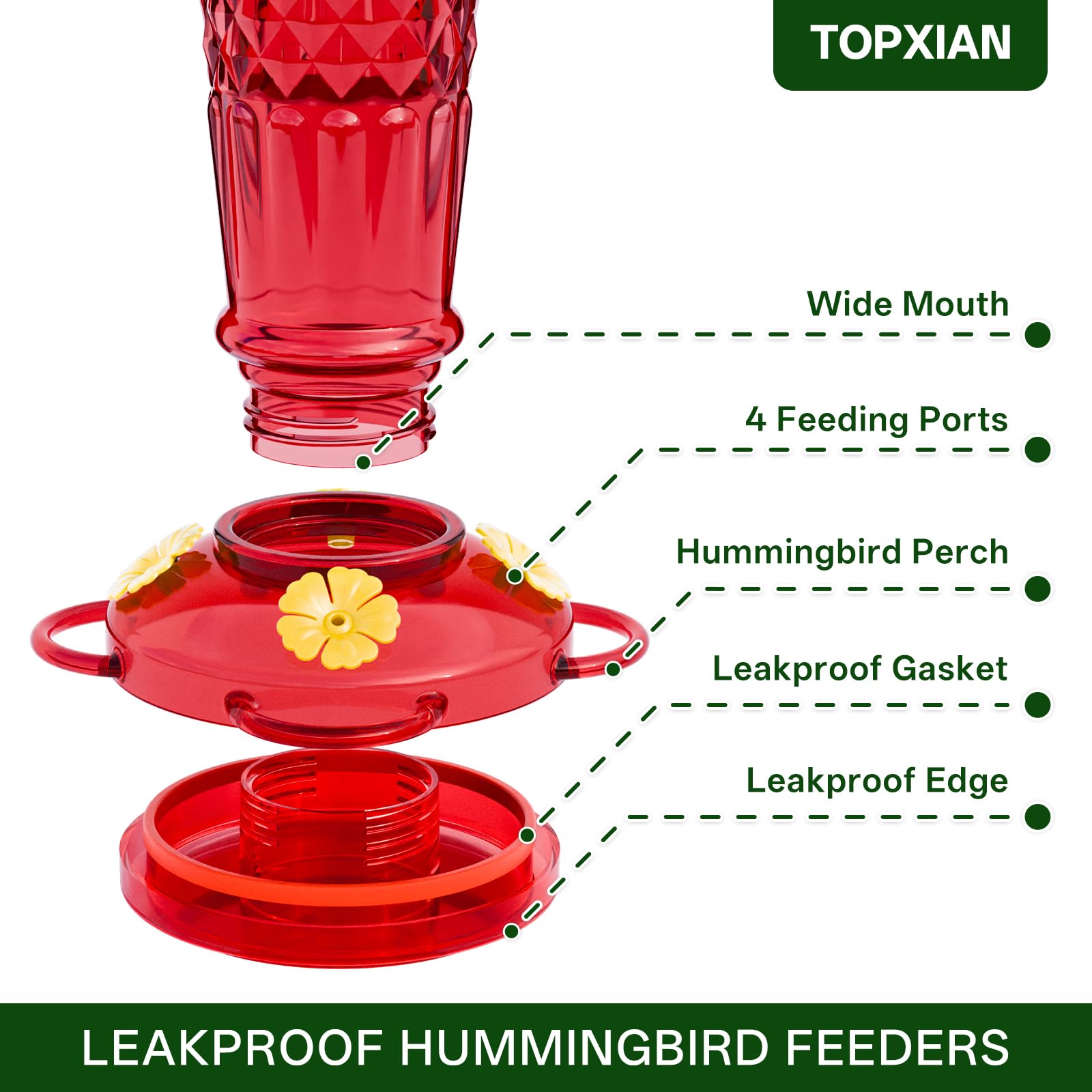 GelinRedcap Hummingbird Feeder in natural outdoor setting