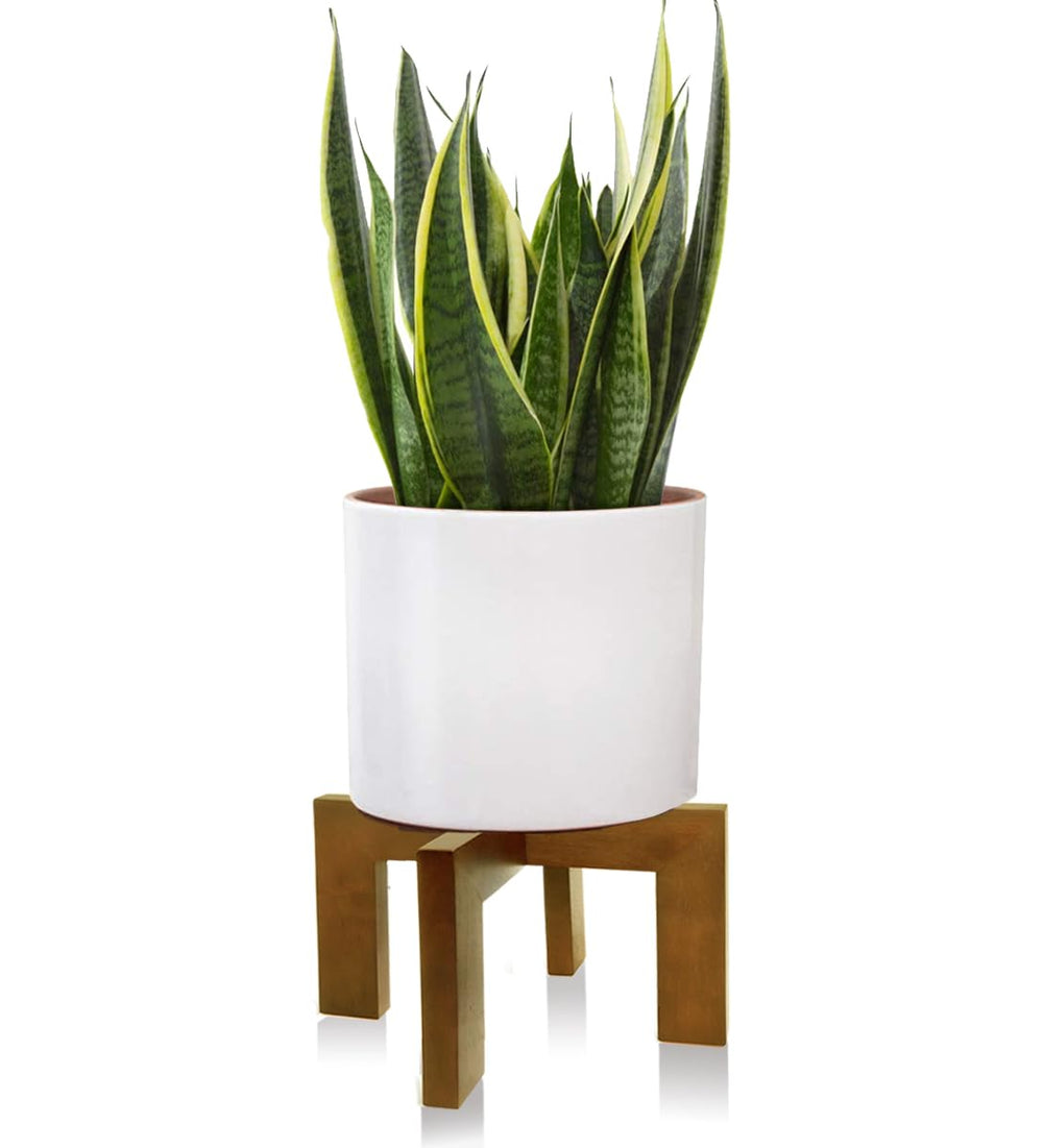 Gendral Forwepup Wood Plant Stand front view, brown rattan design