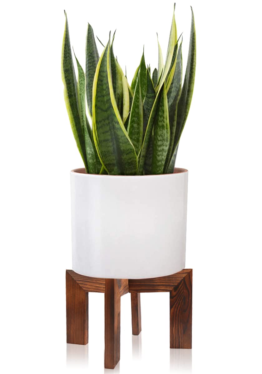 Gendral Forwepup Wood Plant Stand front view showcasing rattan design