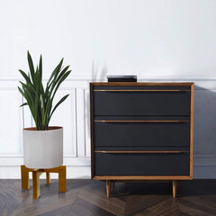 Gendral Forwepup Wood Plant Stand in living room setting