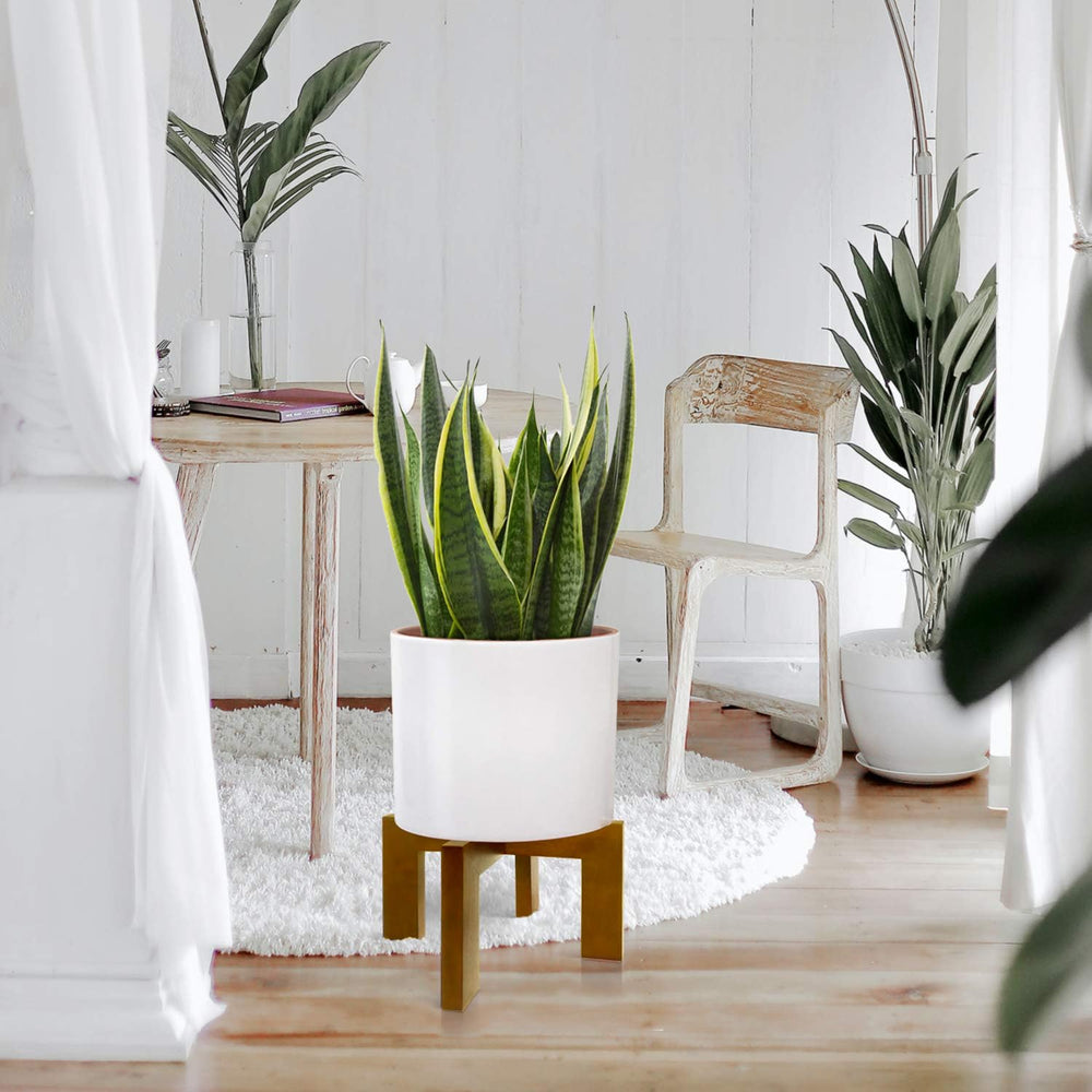 Gendral Forwepup Wood Plant Stand with a 10-inch pot on top
