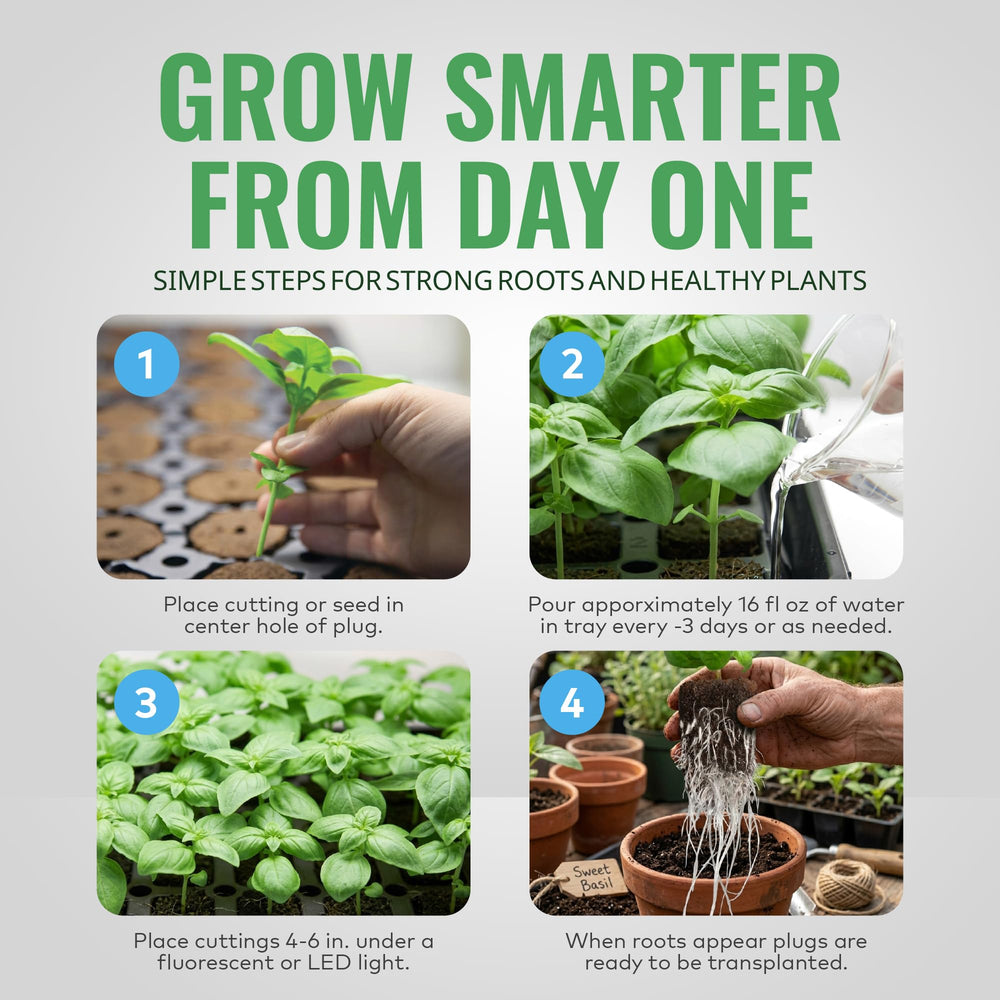 General Hydroponics Rapid Rooter plugs being used in a planting tray
