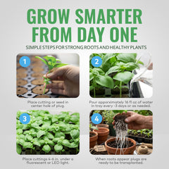 General Hydroponics Rapid Rooter plugs being used in a planting tray