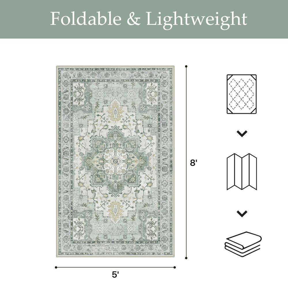 GENIMO Indoor Outdoor Rug in living room