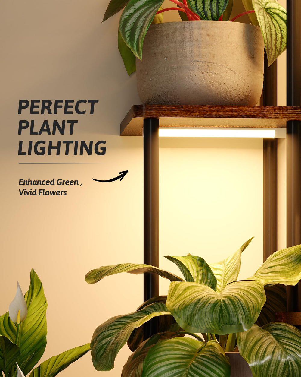 GENTINGBRO Plant Stand styled with various hanging plants