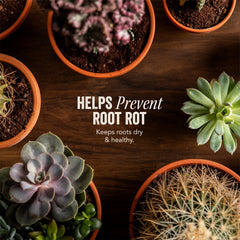 GeoJava Cactus & Succulent Soil packaging with resealable feature