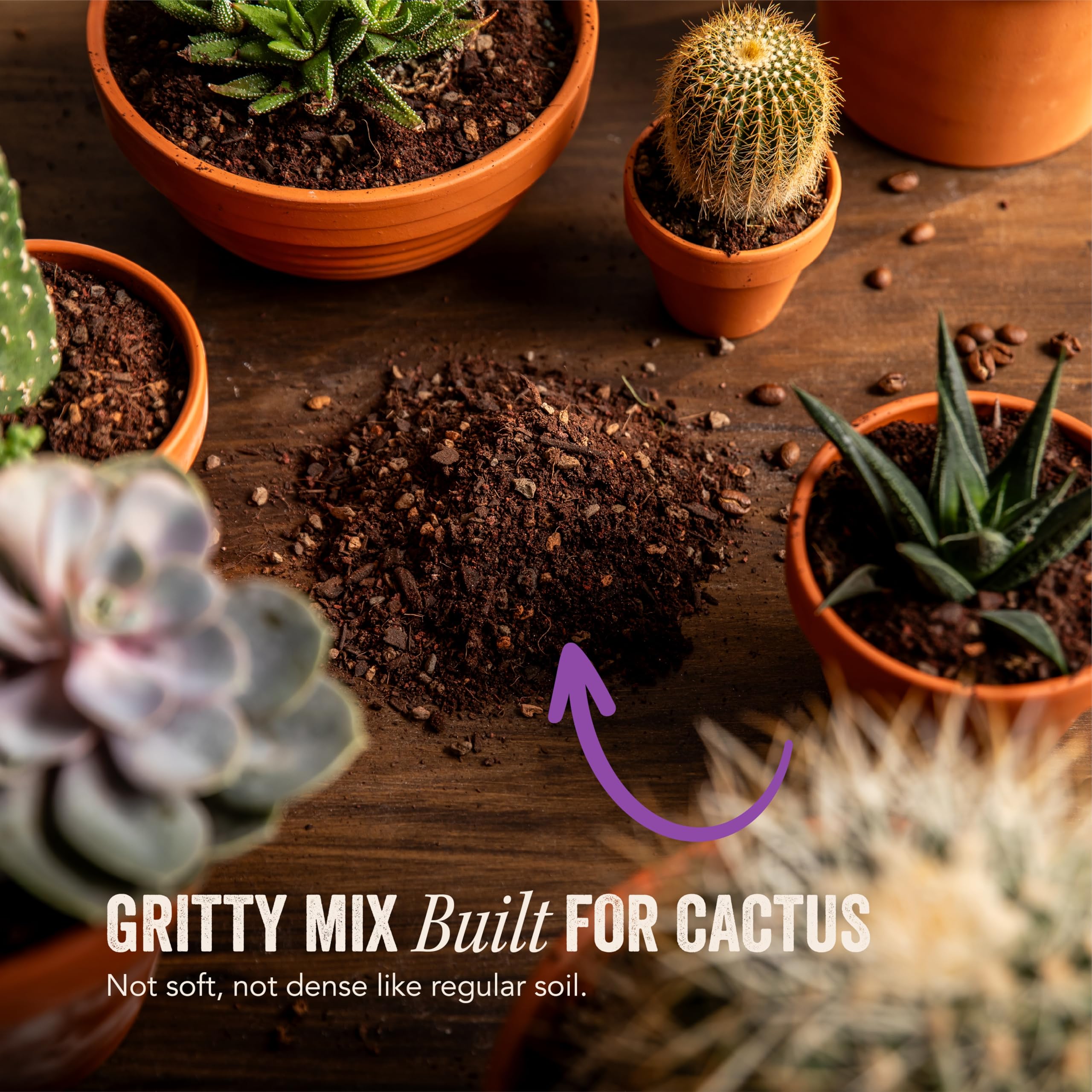 GeoJava soil being poured into a pot with succulent